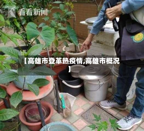 【高雄市登革热疫情,高雄市概况】-第1张图片