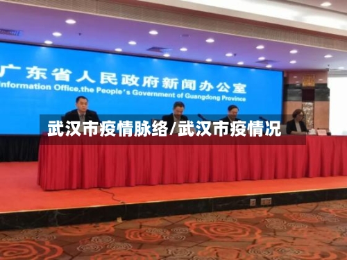 武汉市疫情脉络/武汉市疫情况-第1张图片