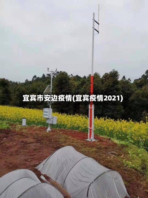 宜宾市安边疫情(宜宾疫情2021)-第1张图片