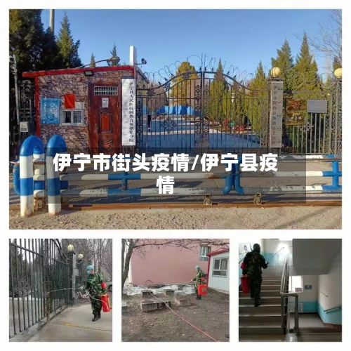 伊宁市街头疫情/伊宁县疫情-第3张图片