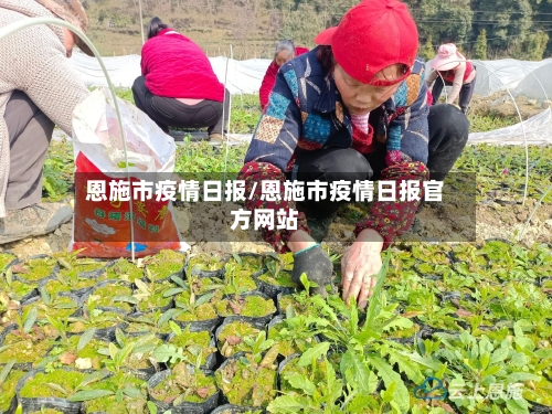 恩施市疫情日报/恩施市疫情日报官方网站-第1张图片