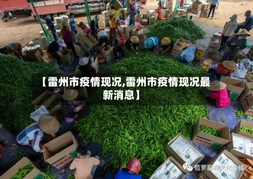【雷州市疫情现况,雷州市疫情现况最新消息】-第1张图片