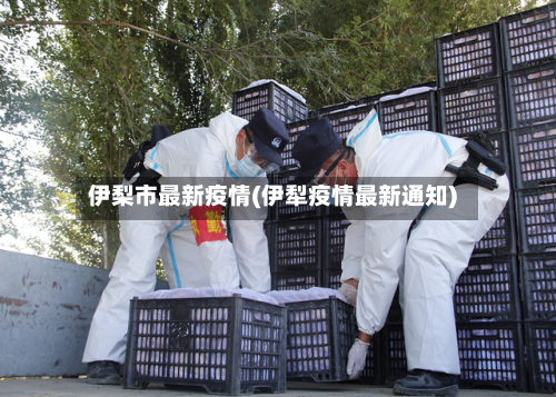 伊梨市最新疫情(伊犁疫情最新通知)-第1张图片