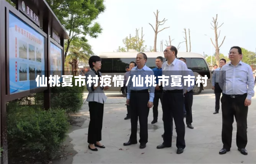 仙桃夏市村疫情/仙桃市夏市村-第1张图片