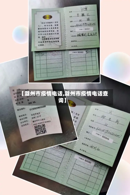 【滁州市疫情电话,滁州市疫情电话查询】-第1张图片