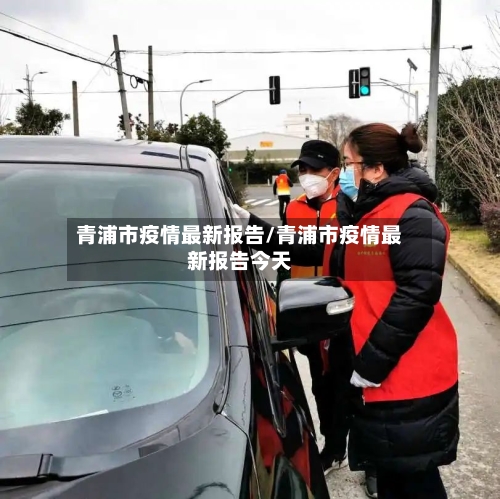 青浦市疫情最新报告/青浦市疫情最新报告今天-第3张图片
