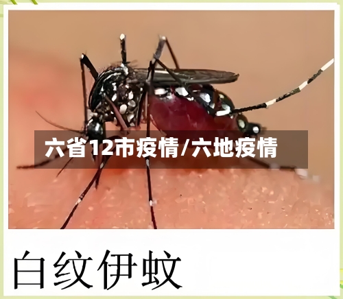 六省12市疫情/六地疫情-第1张图片