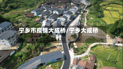 宁乡市疫情大成桥/宁乡大成桥村-第1张图片