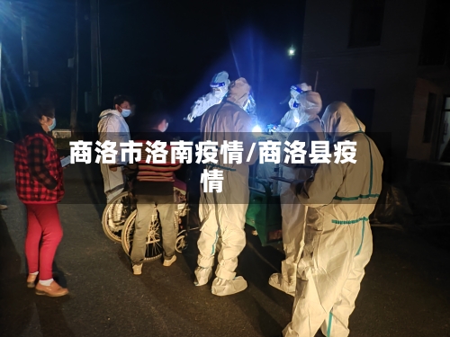 商洛市洛南疫情/商洛县疫情-第2张图片