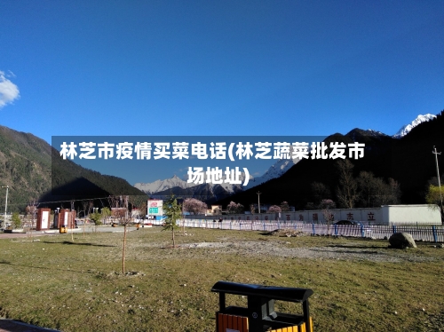 林芝市疫情买菜电话(林芝蔬菜批发市场地址)-第1张图片