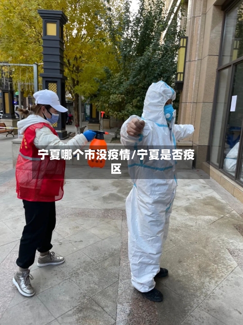 宁夏哪个市没疫情/宁夏是否疫区-第1张图片