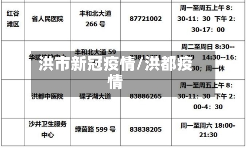 洪市新冠疫情/洪都疫情-第1张图片