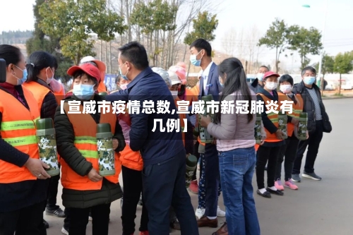 【宣威市疫情总数,宣威市新冠肺炎有几例】-第2张图片