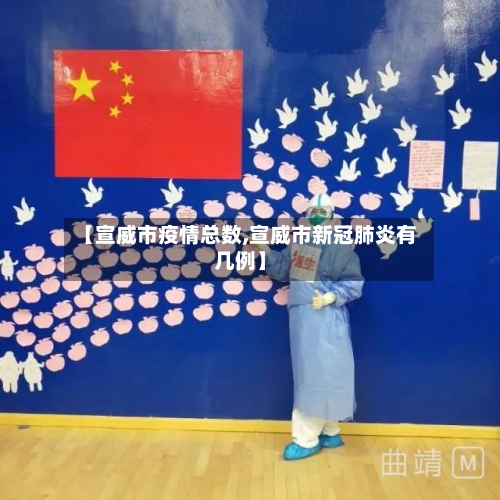 【宣威市疫情总数,宣威市新冠肺炎有几例】-第1张图片