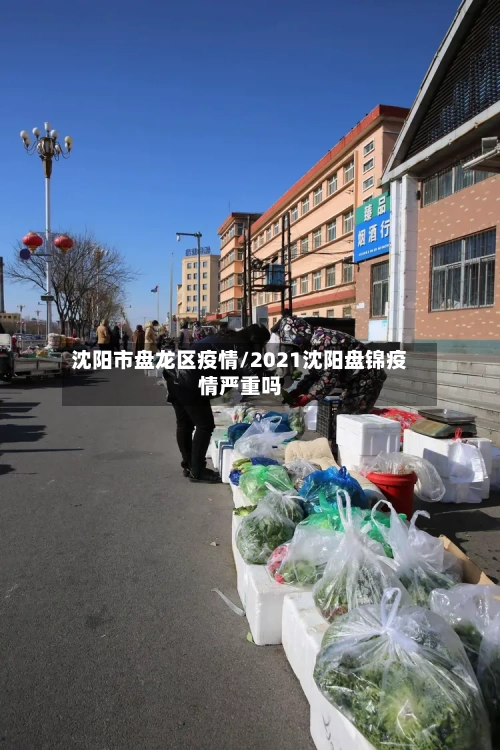 沈阳市盘龙区疫情/2021沈阳盘锦疫情严重吗-第1张图片
