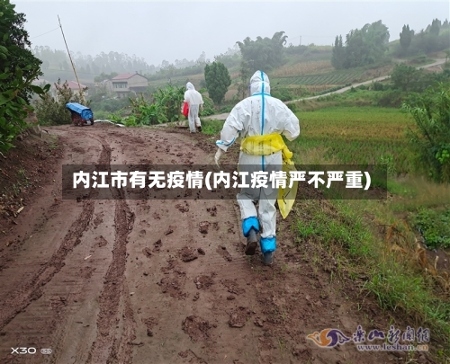 内江市有无疫情(内江疫情严不严重)-第2张图片