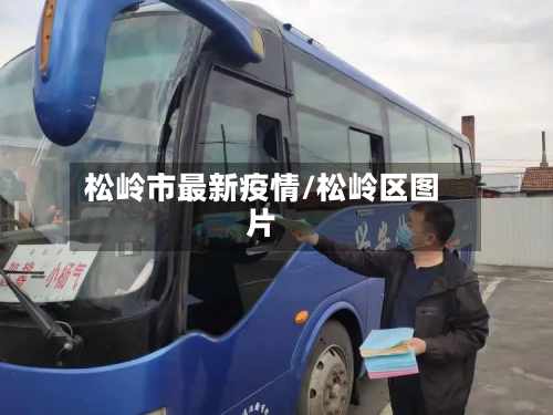 松岭市最新疫情/松岭区图片-第1张图片