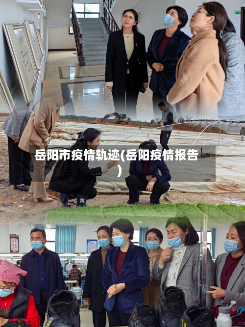 岳阳市疫情轨迹(岳阳疫情报告)-第1张图片