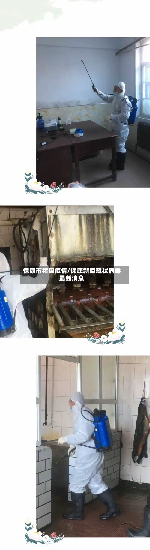 保康市猪瘟疫情/保康新型冠状病毒最新消息-第1张图片