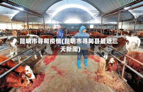 昆明市寻甸疫情(昆明市寻甸县最近三天新闻)-第1张图片