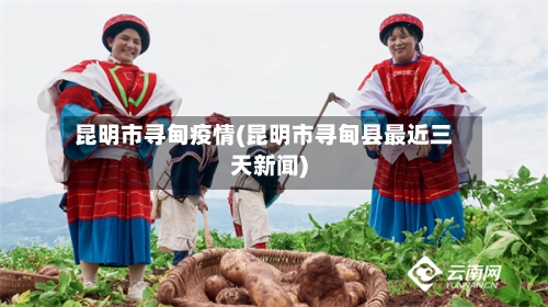 昆明市寻甸疫情(昆明市寻甸县最近三天新闻)-第3张图片