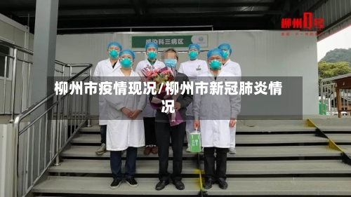 柳州市疫情现况/柳州市新冠肺炎情况-第2张图片