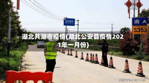 湖北共湖市疫情(湖北公安县疫情2021年一月份)-第2张图片