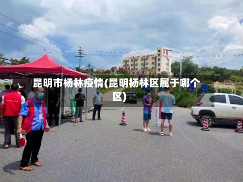 昆明市杨林疫情(昆明杨林区属于哪个区)-第2张图片